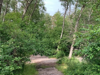 Maison de vacances Liseleje  28