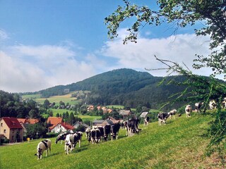 Blick vom Butterberg zur Lausche