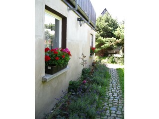 Blick zu den Fenstern Ihrer Ferienwohnung