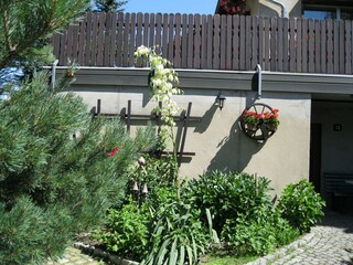 Der Blumengarten vor Ihrer Ferienwohnung