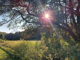 Vakantiehuis Ebeltoft  19
