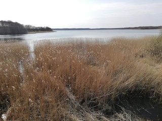 Ferienhaus Ebeltoft  42