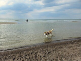 Casa per le vacanze Løkken  41