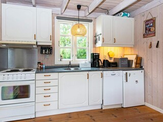 Ferienhaus Bork Havn  4