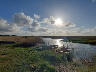 Ferienhaus Bork Havn  31