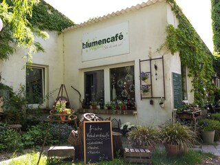 Fahrradtour nach Wiek zum Blumencafé