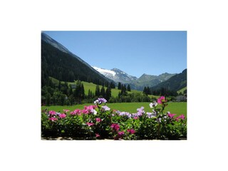 Aussicht Sommer