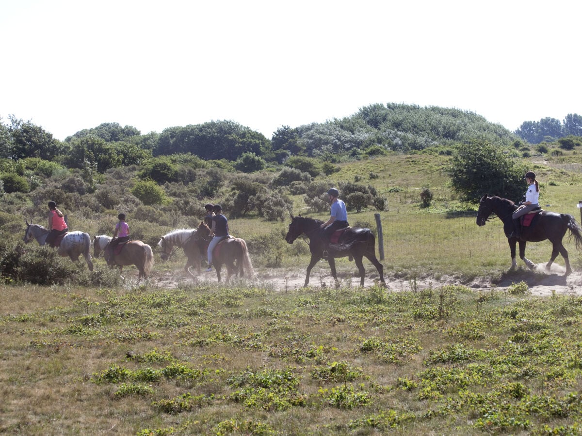 Zum Reiten bietet Egmond eine schöne Umgebung.