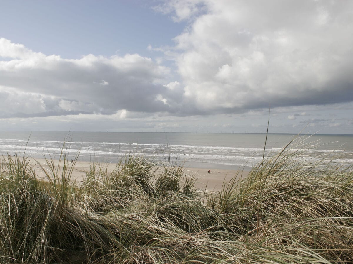 Strand - angenehm in alle Jahrzeiten