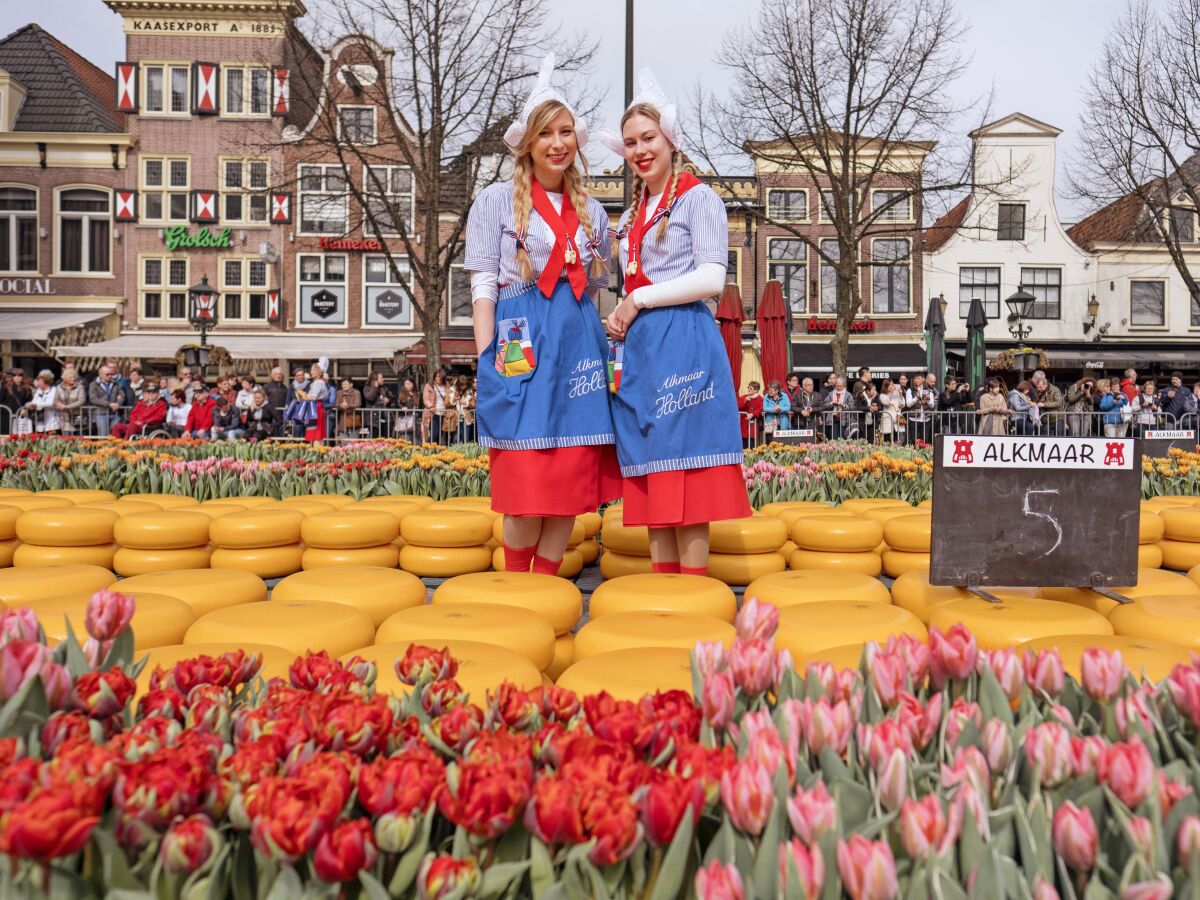 Käsemarkt Alkmaar (April bis September)