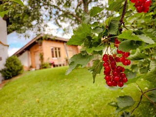 Der Garten  - zu jeder Jahreszeit ein Erlebnis