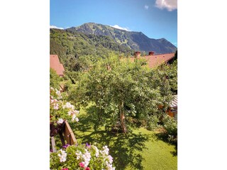 Blick auf den Grünten - unseren Hausberg