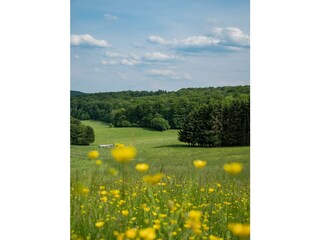 Appartement Hümmerich Buitenaudio-opname 5