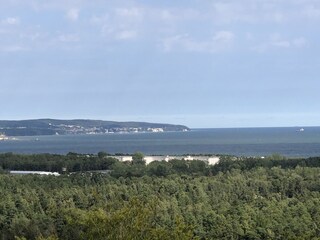 ein Ausflug zum Baumwipfelpfad