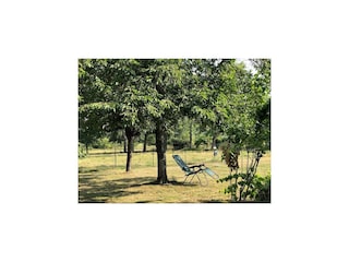 Cottage Couleuvre Außenaufnahme 3