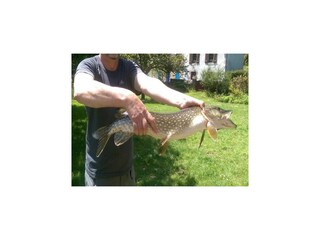 Casa de vacaciones Plougonven Entorno 23