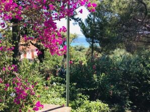 Gemütliches Ferienhaus mit Meerblick in Le Lavandou - Le Lavandou - image1