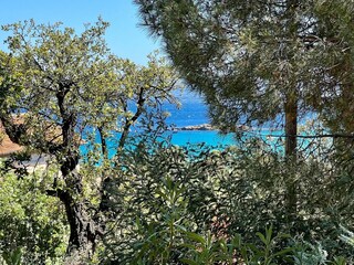 Cottage Le Lavandou Außenaufnahme 9