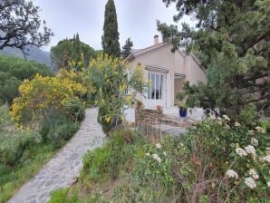 Holiday house Cozy gite with sea view in Le Lavandou - Le Lavandou - image1