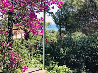 Vakantiehuisje Le Lavandou Buitenaudio-opname 2