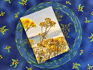 Vakantiehuisje Le Lavandou  39