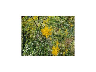 Casa vacanze Le Lavandou Registrazione all'aperto 10