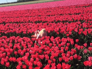 Ferienhaus Warmenhuizen Umgebung 26