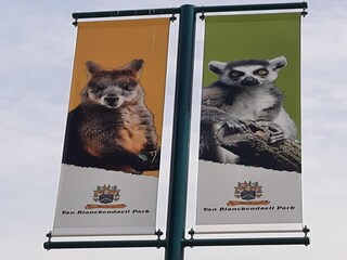 Ferienhaus Warmenhuizen Umgebung 27