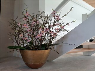 Holiday house Warmenhuizen  38