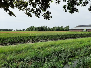 Ferienhaus Warmenhuizen Umgebung 31