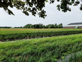 Vakantiehuis Warmenhuizen Omgeving 31