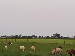 Casa de vacaciones Warmenhuizen Entorno 34