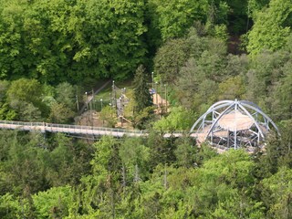 Baumwipfelpfad Harz in Bad Harzburg