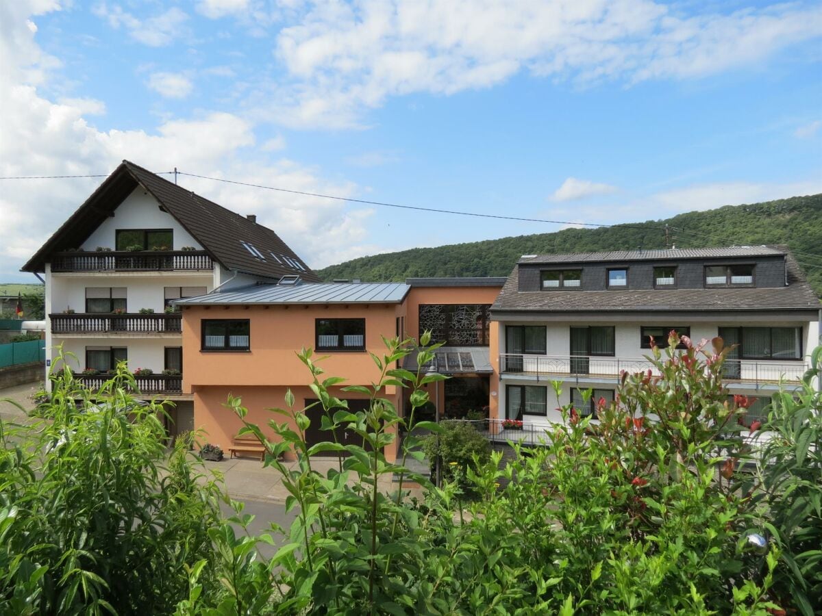 Landhaus Mosel / Berghof-  auch barrierefrei-