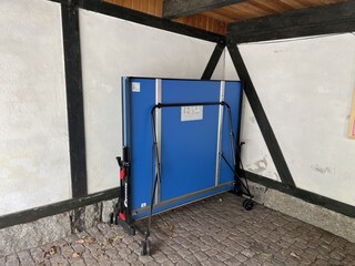 mobile Tischtennisplatte im Carport für 1 Auto