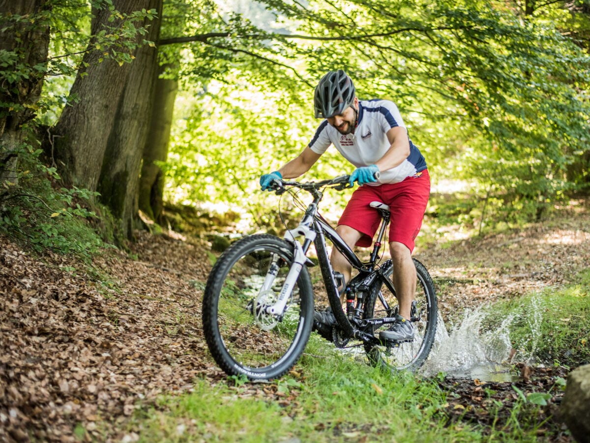 Mountainbiker in Aktion