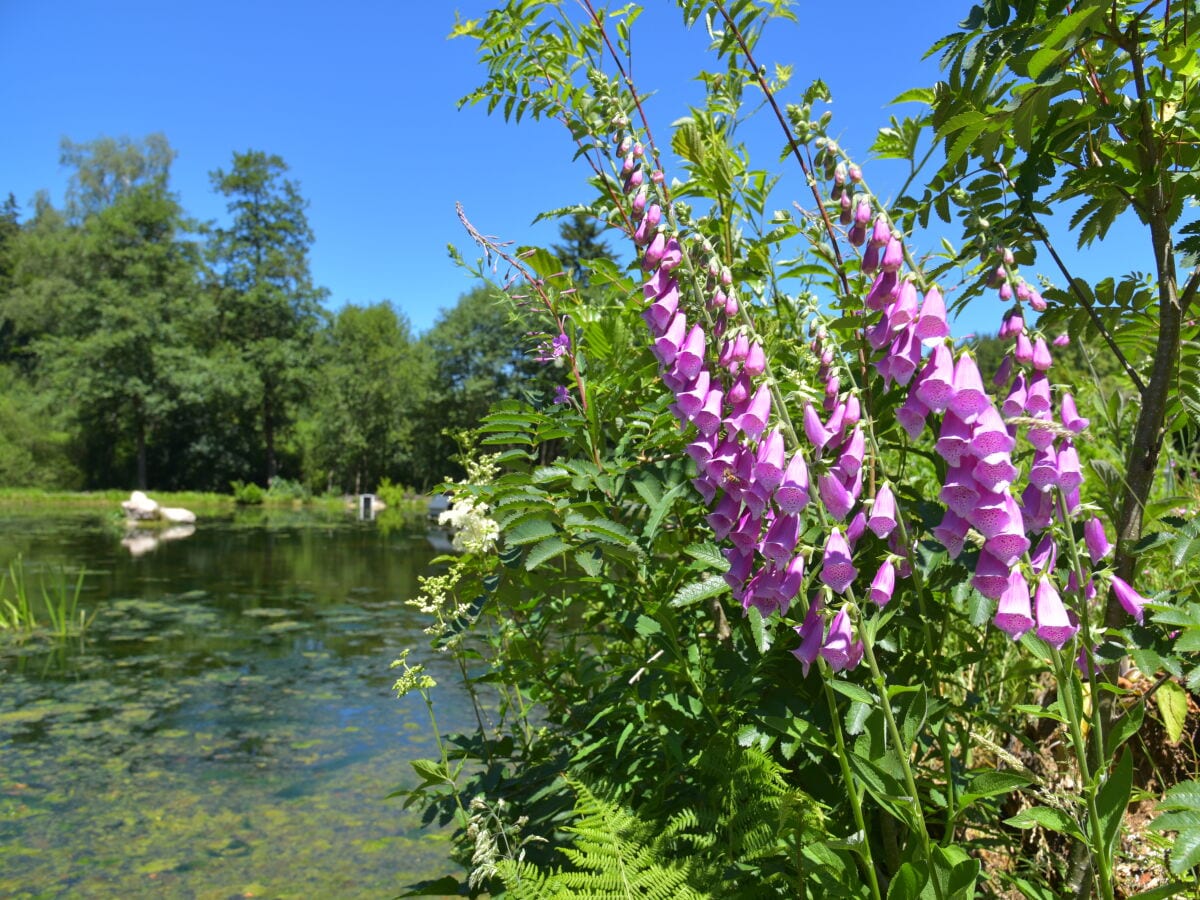 idyllische Umgebung