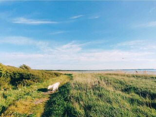 Casa de vacaciones Jægerspris  33