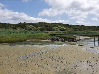 Casa per le vacanze Jægerspris  20