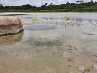 Casa de vacaciones Jægerspris  41