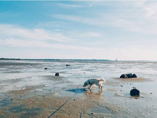 Holiday house Jægerspris  25