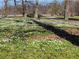 Casa de vacaciones Jægerspris  42