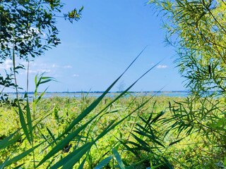 Maison de vacances Jægerspris  28