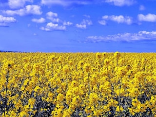 Holiday house Jægerspris  28