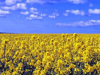 Maison de vacances Jægerspris  28