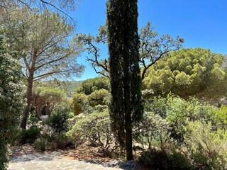 Casa de vacaciones Le Lavandou Grabación al aire libre 10