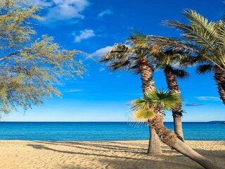 Casa per le vacanze Le Lavandou Ambiente 31