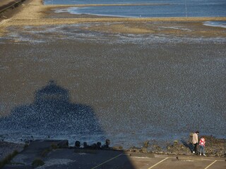 Apartment Sint-Maartensdijk Umgebung 28