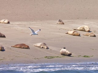 Appartamento Sint-Maartensdijk Ambiente 30