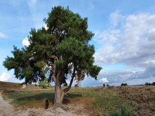 Ferienhaus Hattem Umgebung 32